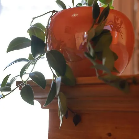 Lejlighedshotel Budapestayz - Raday 3*