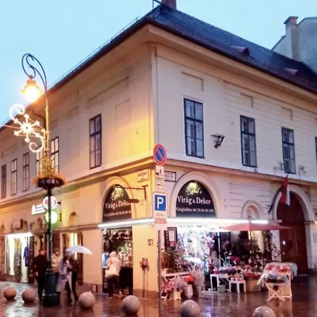 Hotel apartamentowy Budapestayz - Raday
