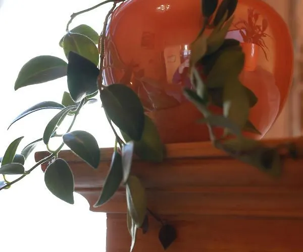 Hotel apartamentowy Budapestayz - Raday 3*