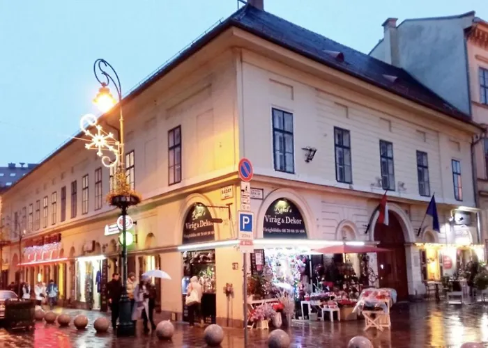 Hotel apartamentowy Budapestayz - Raday